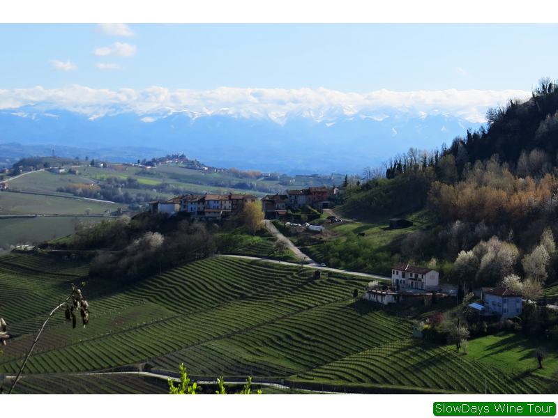 Un panorama